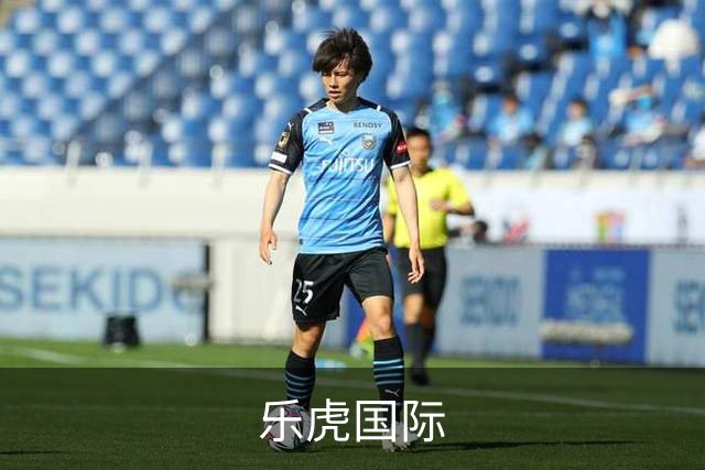 乐虎国际公司简介